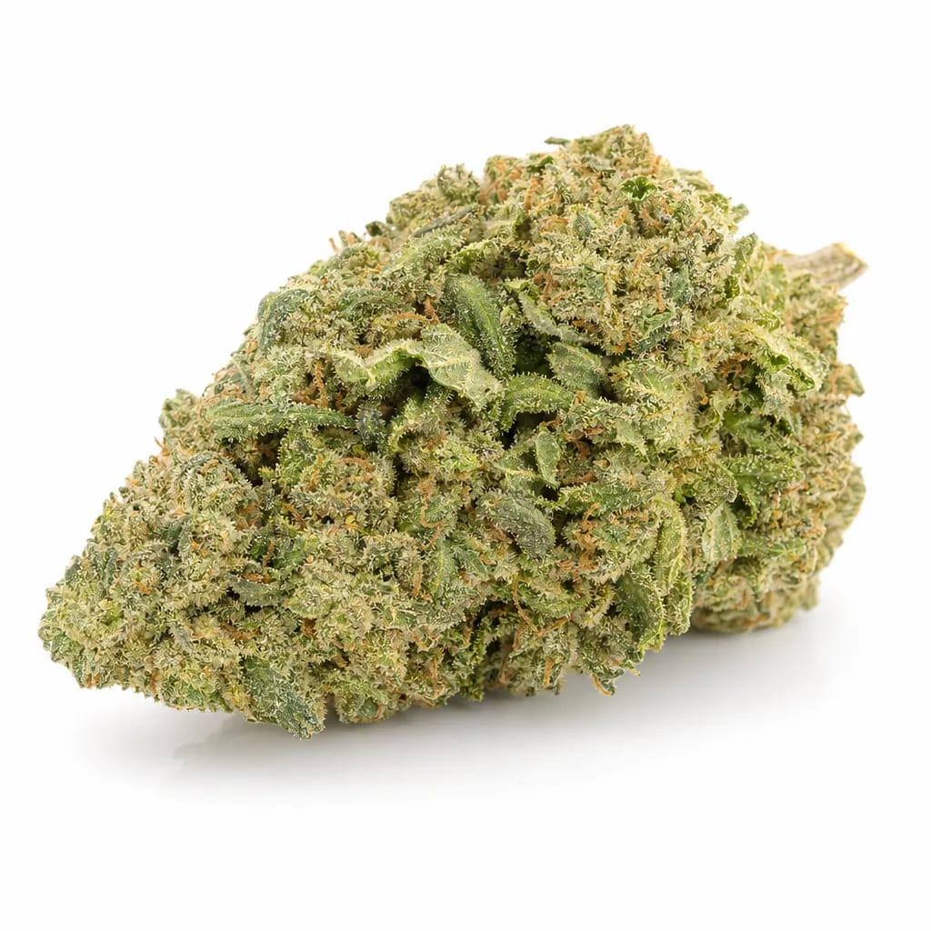 Vortex cannabis strain