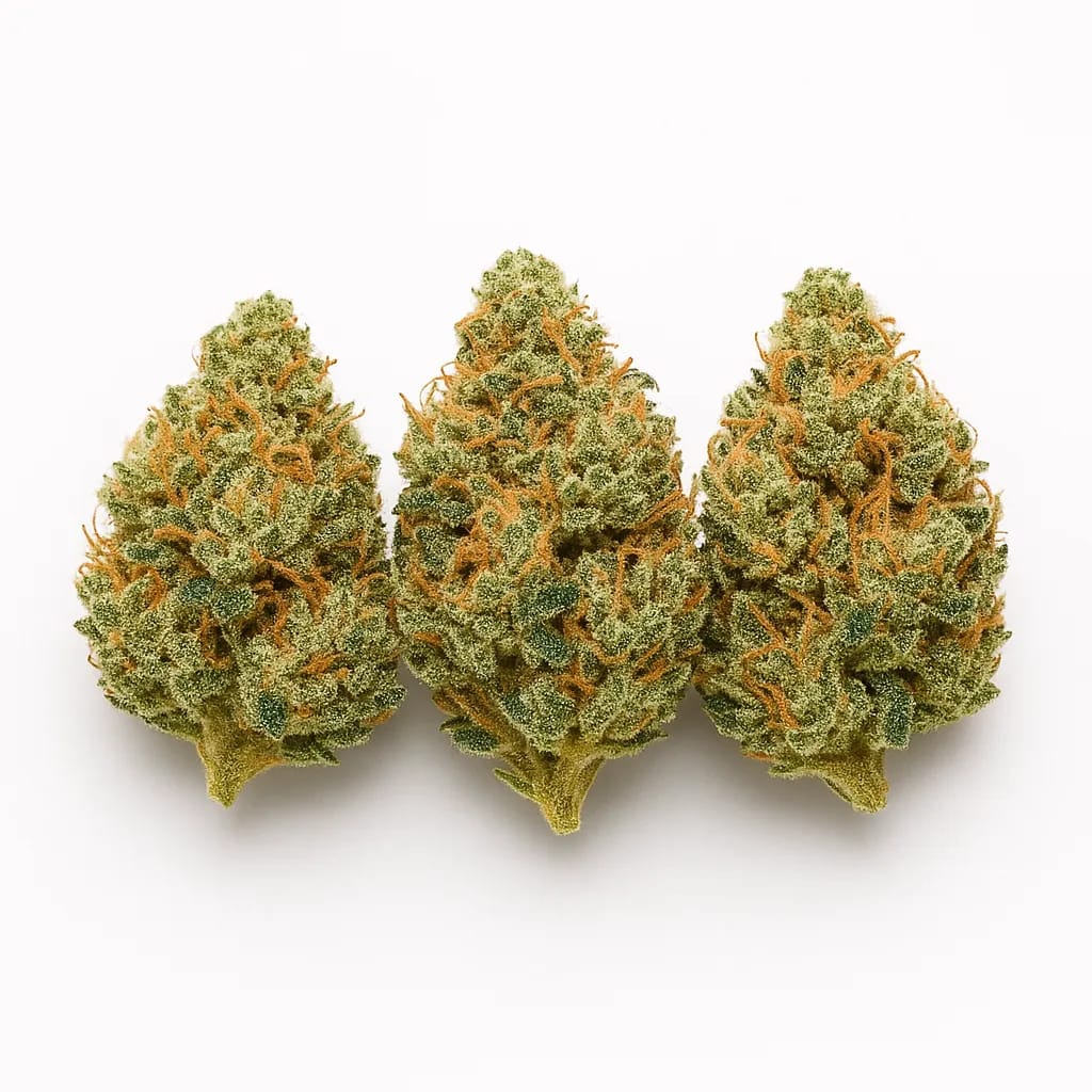 Fruit Loops cannabis strain
