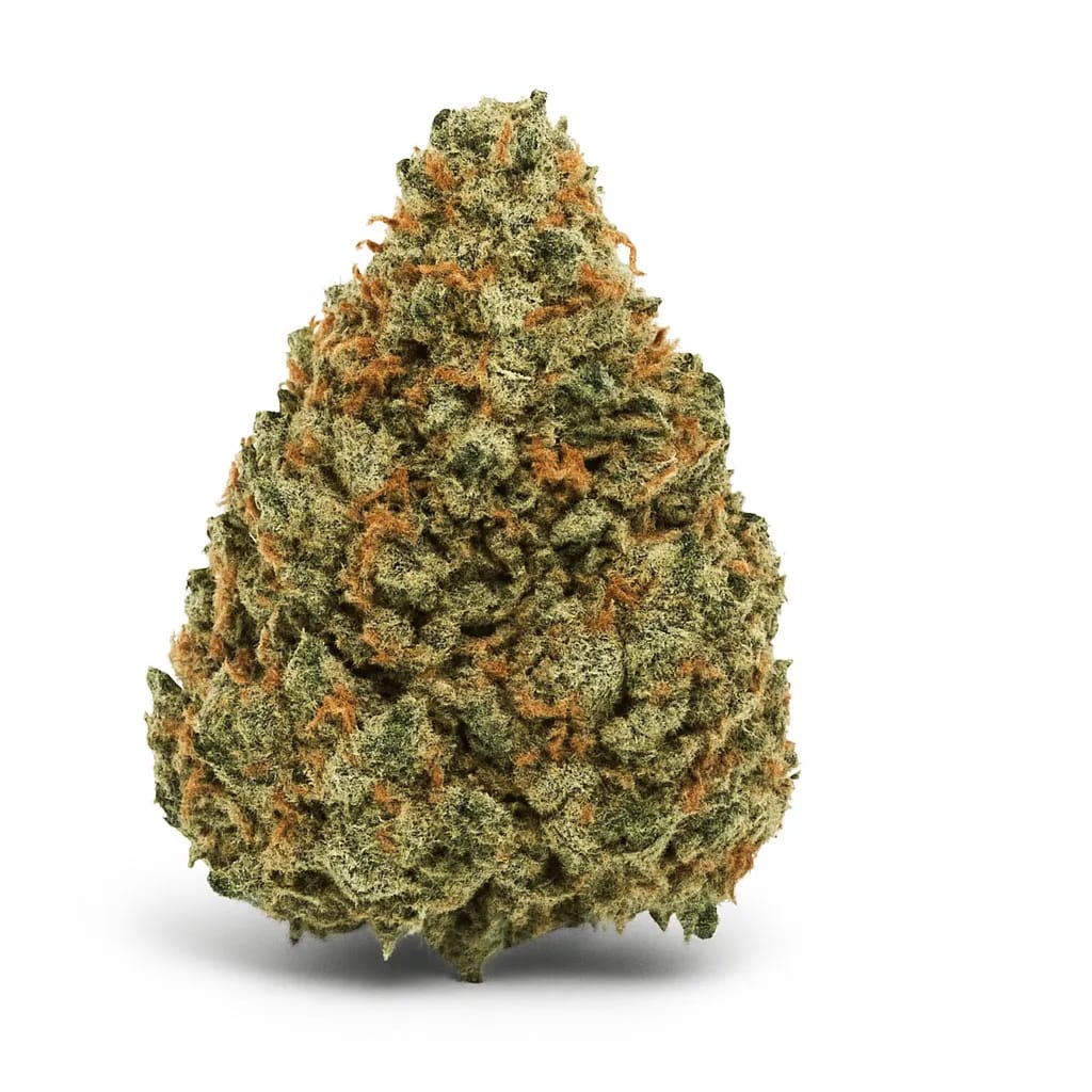 Blue Dream cannabis strain