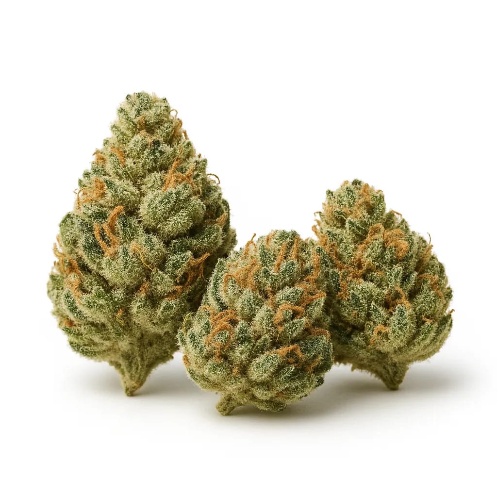 Shishkaberry cannabis strain