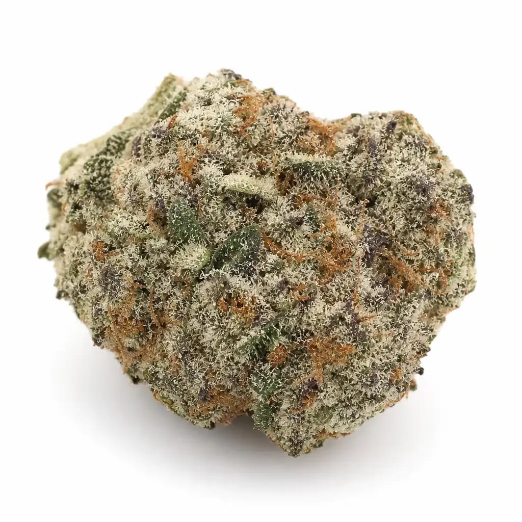 Red Dragon cannabis strain